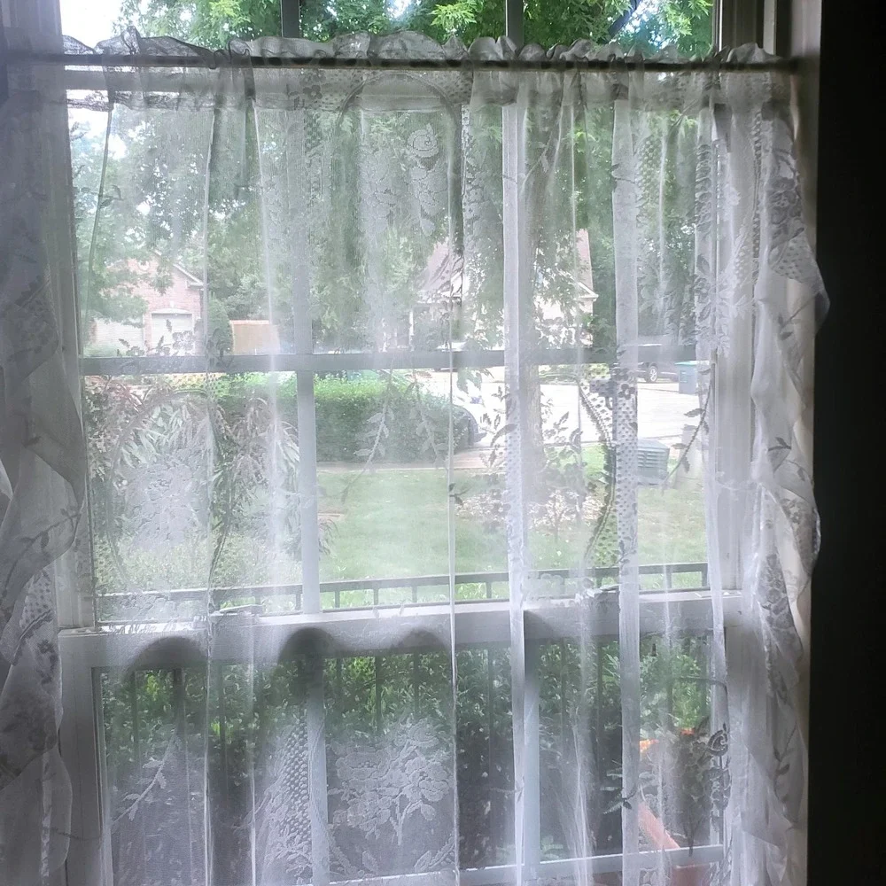 Unbranded elegant sheer